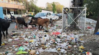 WhatsApp Image 2026 04 14 at 11.53.29