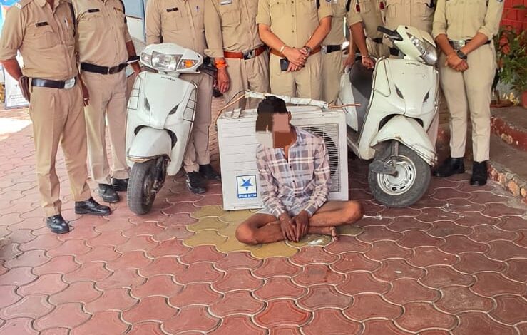 WhatsApp Image 2026 04 17 at 16.30.29