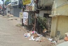 WhatsApp Image 2026 04 20 at 11.41.29