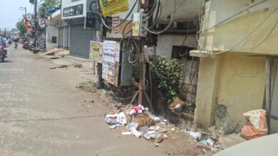 WhatsApp Image 2026 04 20 at 11.41.29