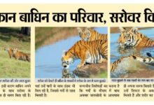 WhatsApp Image 2026 04 26 at 13.31.58