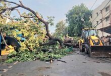 यूपी में मौसम का कहर: आंधी-तूफान और बिजली गिरने से 55 से ज्यादा मौतें 8 01 21