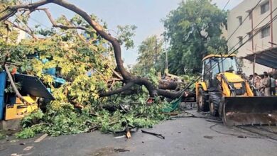 यूपी में मौसम का कहर: आंधी-तूफान और बिजली गिरने से 55 से ज्यादा मौतें 7 01 21