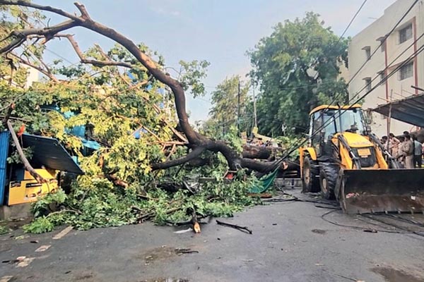 यूपी में मौसम का कहर: आंधी-तूफान और बिजली गिरने से 55 से ज्यादा मौतें 1 01 21