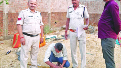 अवैध शराब के ठिकानों पर ढीमरखेडा पुलिस की दबिश, 15 मामले दर्ज, भारी मात्रा में शराब जब्त 16 01 24