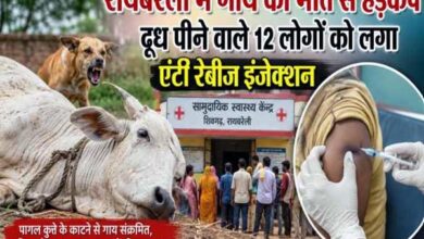 पागल कुत्ते के काटने से गाय की मौत, दूध पीने वाले लोगों में दहशत 12 011 1