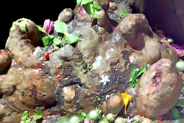 जटाओं की रहस्यमयी गुफा में विराजे भोलेनाथ,पचमढ़ी उमड़ रही आस्था की भीड़ 2 013 2