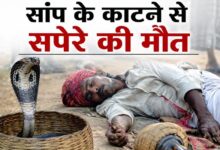 सांप के काटने से सपेरे की मौत, घर में मचा कोहराम 9 03 10