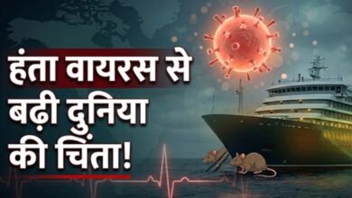 हंतावायरस ने बढ़ाई चिंता, स्वास्थ्य एजेंसियां अलर्ट पर 7 03 6