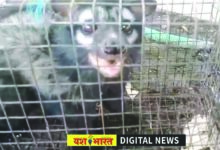04 19