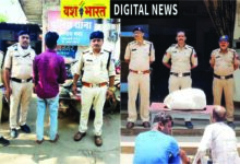 ओएफके स्टेडियम के पास पकड़ा गया गांजा तस्कर, रंगनाथ नगर पुलिस ने गश्त के दौरान की कार्रवाई, 2 किलो 918 ग्राम गांजा बरामद 11 103