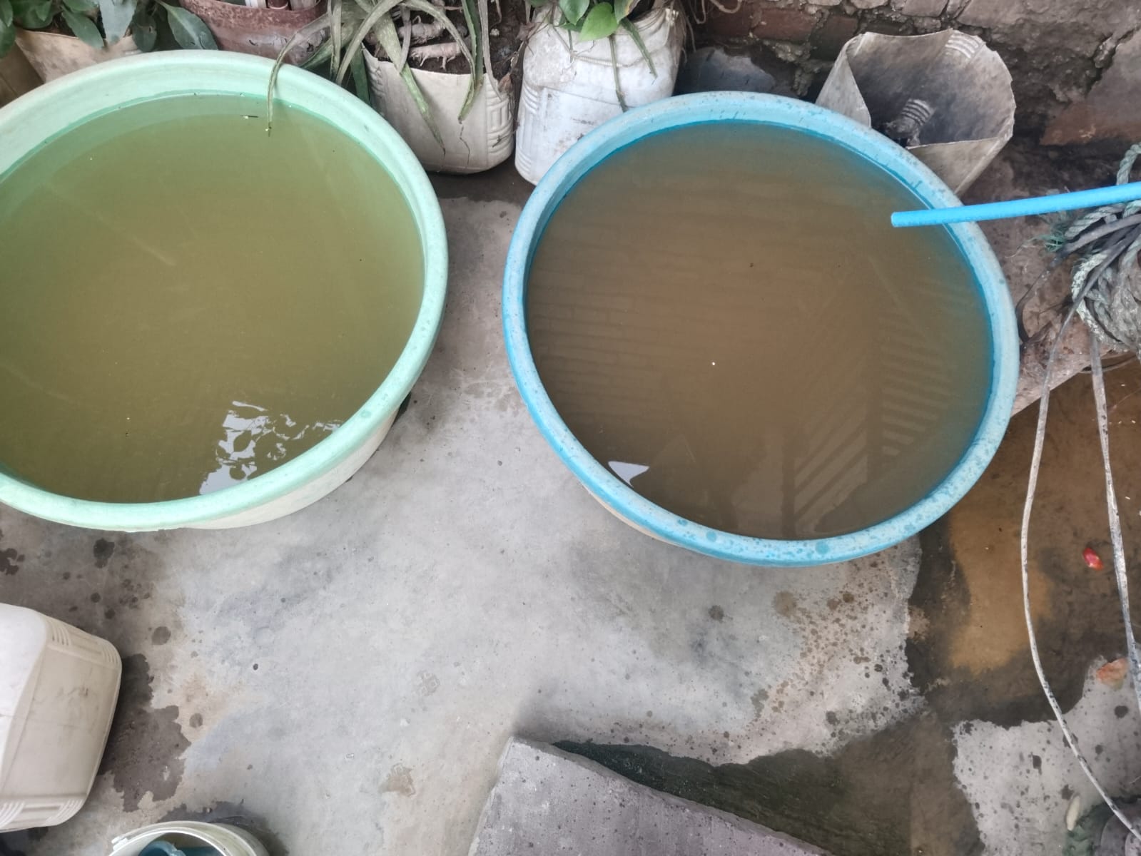 IMG 20260512 WA0023