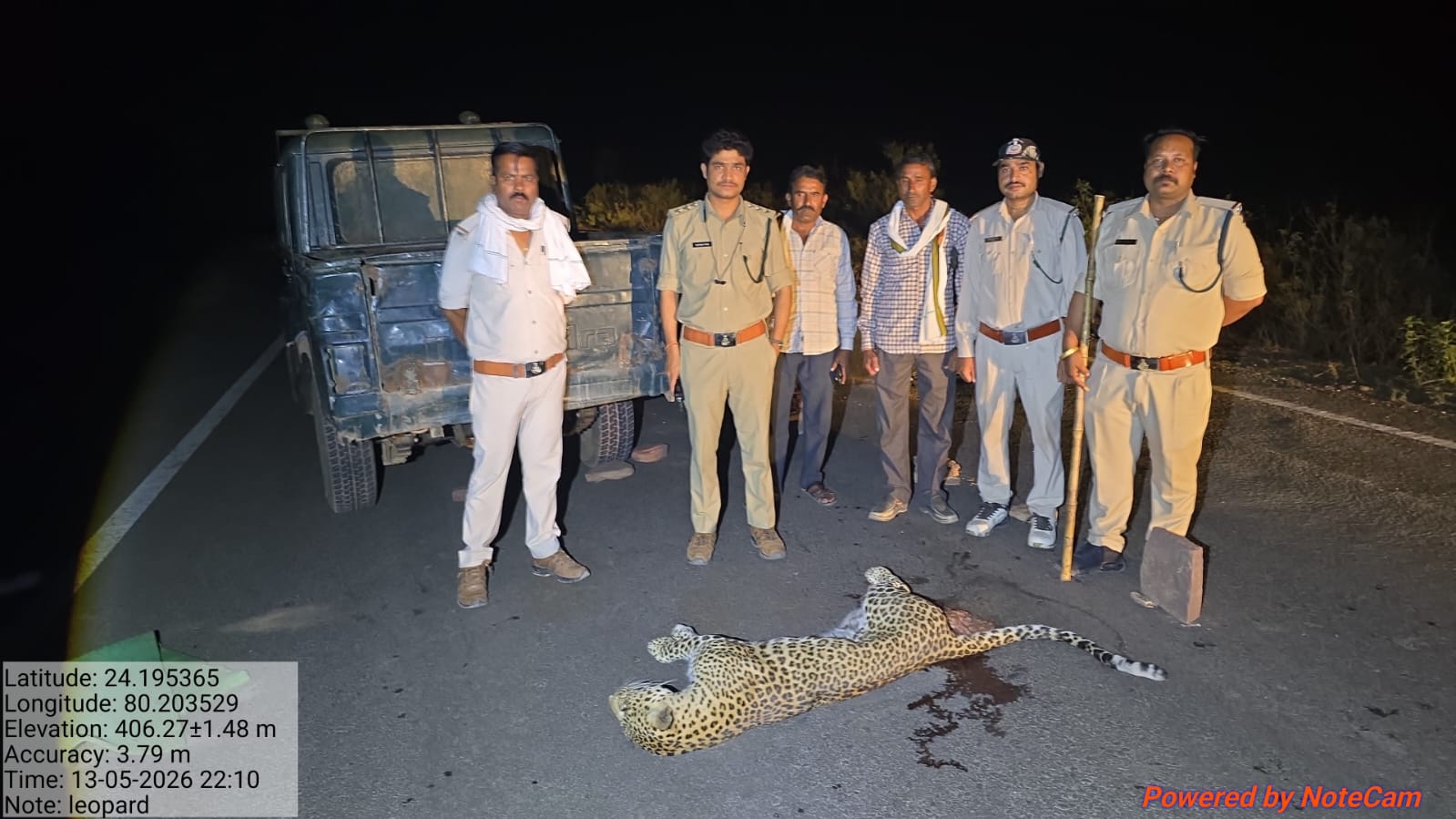 ब्रेकिंग : हाईवे पर वाहन की टक्कर से तेंदुए की मौत, CCTV फुटेज एवं डॉग स्क्वाड की मदद से वन विभाग कर रहा जांच, कटनी से सटे शाहनगर रेंज में घटना 3 IMG 20260514 WA0266