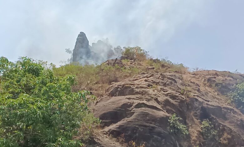 पचमढ़ी के जटाशंकर मार्ग की पहाड़ी पर लगी आग स्थानीय लोग खुद बुझाने में जुटे, फायर ब्रिगेड का इंतजार 1 IMG 20260526 WA0001