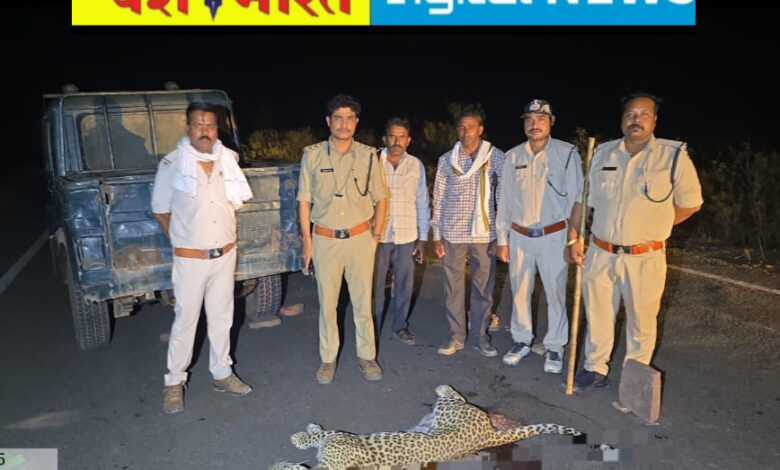 नेशनल हाईवे पर अज्ञात वाहन की टक्कर से तेंदुए की मौत, CCTV फुटेज खंगालने में जुटा वन विभाग, घटनास्थल की घेराबंदी 1 IMG 20260513 234633
