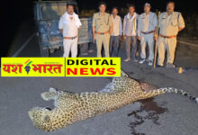 ब्रेकिंग : हाईवे पर वाहन की टक्कर से तेंदुए की मौत, CCTV फुटेज एवं डॉग स्क्वाड की मदद से वन विभाग कर रहा जांच, कटनी से सटे शाहनगर रेंज में घटना 11 IMG 20260514 090718