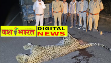 ब्रेकिंग : हाईवे पर वाहन की टक्कर से तेंदुए की मौत, CCTV फुटेज एवं डॉग स्क्वाड की मदद से वन विभाग कर रहा जांच, कटनी से सटे शाहनगर रेंज में घटना 11 IMG 20260514 090718