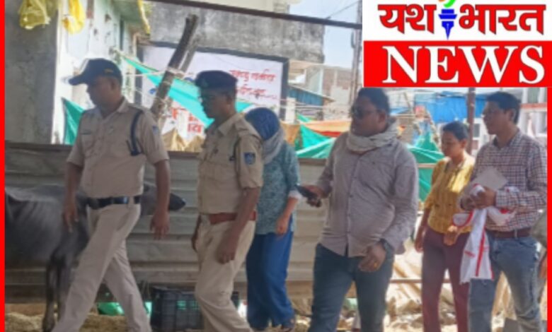 बूचड़खाने के संभावित ठिकाने पर पुलिस ने दी दबिश : मौके से 11 मवेशी,वध करने के हथियार सहित अन्य सामग्री जप्त 1 InCollage 20260528 224852716
