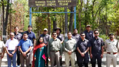 कान्हा टाइगर रिजर्व पहुंचा मलेशिया वन विभाग का दल : वन्यजीव संरक्षण , प्रबंधन मॉडल का ऐसे करेगा अध्ययन... 9 Screenshot 20260508 194451.WhatsApp