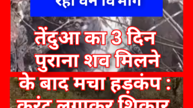 तेंदुआ का 3 दिन पुराना शव मिलने के बाद मचा हड़कंप : करंट लगाकर शिकार की आशंका 2 Screenshot 20260515 153816.Gallery