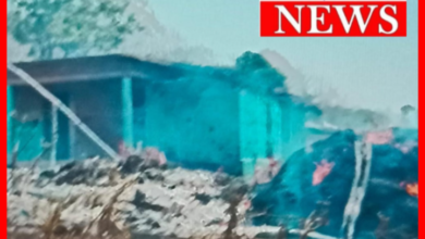 गौशाला और मकान में लगी भीषण आग : एक दर्जन से अधिक बकरियां जलीं... क्षेत्र में हड़कंप 7 Screenshot 20260523 153957.Gallery