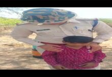भीषण गर्मी में भटक रहे मासूम को RTO उड़नदस्ता टीम ने परिवार से मिलाया 10 Untitled 4 copy 6