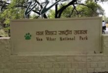 भीषण गर्मी से बेहाल भोपाल, वन विहार में जानवरों के लिए विशेष इंतजाम - पारा 44 डिग्री के पार, शेर-बाघ के बाड़ों में कूलर और ग्रीन नेट लगाए गए 9 WhatsApp Image 2026 05 21 at 12.24.26