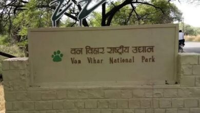 भीषण गर्मी से बेहाल भोपाल, वन विहार में जानवरों के लिए विशेष इंतजाम - पारा 44 डिग्री के पार, शेर-बाघ के बाड़ों में कूलर और ग्रीन नेट लगाए गए 9 WhatsApp Image 2026 05 21 at 12.24.26