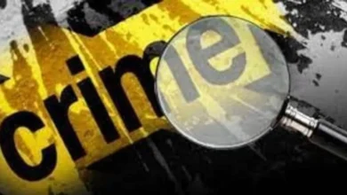 crime 1 1741608451
