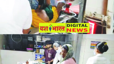 विलायतकला के पास हादसा, बेलगाम रफ्तार से भाग रहे ट्रक ने बोलेरो को मारी ठोकर, आधा दर्जन से अधिक घायल 7 01 16