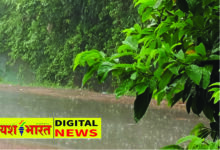 दक्षिण-पश्चिम से होने जा रही मानसून की एंट्री, मौसम विभाग ने जारी किया नया अपडेट, 15 से 18 जून के बीच होगी बंूदाबांदी 26 02 14