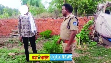 घर की बाड़ी में लगाए गांजे के पौधे, लहलहा रही थी फसल, विजयराघवगढ़ पुलिस की दबिश, आरोपी गिरफ्तार 8 04 26