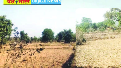 मुरूम और रेत के बाद अब मिट्टी का उत्खनन, रीठी के अमगवां में जेसीव्ही लगाकर की जा रही मिट्टी की खुदाई, कलेक्टर के निर्देशों के बाद भी कार्रवाई नहीं कर रहा खनिज विभाग 6 06 12
