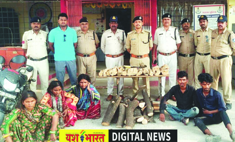 कटनी से खदेड़ा तो सतना में की चोरियां, दिन में रुद्राक्ष की माला बेचकर रात में वारदात को अंजाम देते थे आरोपी, चंदन के पेड़ चुराने वाले पारधी गिरोह के आधा दर्जन सदस्य नागौद में गिरफ्तार 1 08