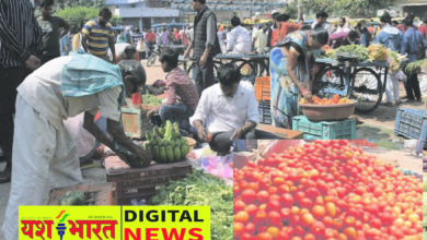 कटनी में टमाटर 60 रुपये किलो, 100 तक पहुंचने की आशंका, मध्यप्रदेश की टमाटर फसल खत्म, अब महाराष्ट्र के भरोसे सप्लाई 7 50