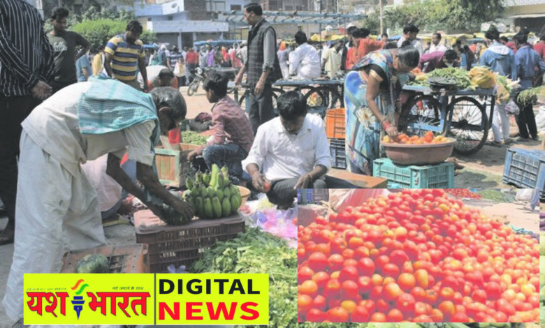 कटनी में टमाटर 60 रुपये किलो, 100 तक पहुंचने की आशंका, मध्यप्रदेश की टमाटर फसल खत्म, अब महाराष्ट्र के भरोसे सप्लाई 1 50