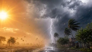 जबलपुर में बारिश और तेज आंधी का अलर्ट, 50 किमी प्रति घंटे की रफ्तार से चल सकती हैं हवाएं 7 92b0a28dbdb6eb9df596b85350ce60c7b59004377cd6998a20d355784c9090d8