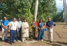 विश्व पर्यावरण दिवस पर बीएमएचआरसी में विशेष आयोजन प्रकृति आधारित समाधान जलवायु संकट से निपटने का प्रभावी माध्यम डॉ. राजनारायण तिवारी 8 IMG 20260606 WA0005