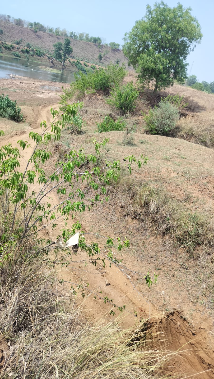 IMG 20260614 WA0045