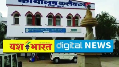 आधा सैकड़ा पटवारियों के तबादले किये कलेक्टर ने, गृह तहसीलों में जमे पटवारियों का नहीं हुआ स्थानान्तरण 8 IMG 20260616 090553 1