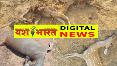 जहरीला पानी पीकर 14 वन्य जीवों की मौत से हड़कंप, शिकारियों ने तालाब के पानी में मिलाया जहर, 3 गिरफ्तार 8 IMG 20260626 183631