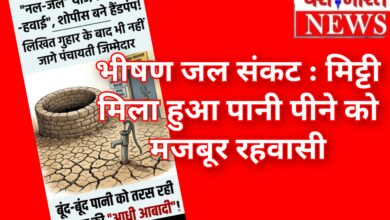 नल-जल योजना हुई हवा-हवाई, शोपीस बने हैंडपंप,कागजी विकास के बीच बूंद-बूंद पानी को तरस रहे देवलहा के वासिंदे 10 InCollage 20260610 160355173