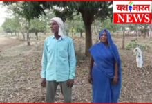 किसान दंपति के अब है 10 हजार बच्चे : संतान न होने के दुख के बाद उठाया यह कदम... 6 InCollage 20260618 143318882