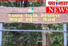 कान्हा टाइगर रिजर्व का कोर एरिया 1 जुलाई से बंद : मानसून के कारण 30 सितंबर तक नो-एंट्री; बफर जोन में सफारी जारी रहेगी 10 InCollage 20260624 185407044