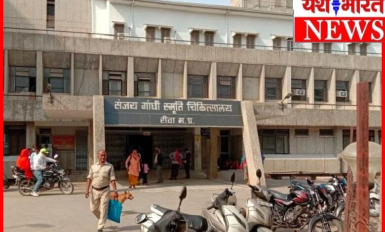 ननि वाहन बाइक में सीधी भिडंत: दो युवक गंभीर रूप से घायल 1 InCollage 20260630 151010286