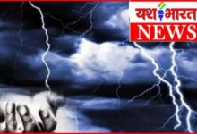 आकाशीय बिजली की चपेट में आई एक महिला एवं दो बच्चे : स्थिति गंभीर.. क्षेत्र में हड़कंप 12 InCollage 20260630 221955903