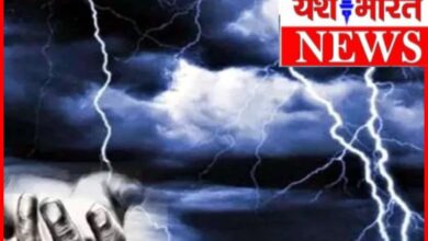 आकाशीय बिजली की चपेट में आई एक महिला एवं दो बच्चे : स्थिति गंभीर.. क्षेत्र में हड़कंप 9 InCollage 20260630 221955903