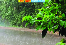 मानसून की लेटलतीफी से बढ़ी बैचेनी, शहर में गर्मी से लोग बेहाल, ग्रामीण क्षेत्रों में किसान बारिश के इंतजार में, मौसम विभाग ने फिर जारी किया येलो अलर्ट 10 Page 11 copy
