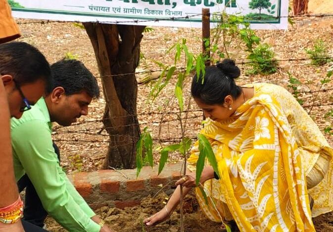 विश्व पर्यावरण दिवस पर किया वृक्षारोपण, हरियाली बढ़ाने का लिया संकल्प 1 WhatsApp Image 2026 06 05 at 5.56.46 PM