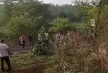 मॉर्निंग वॉक के दौरान बाघ से आमना-सामना, चंदनपुरा में दहशत 9 WhatsApp Image 2026 06 26 at 12.39.47